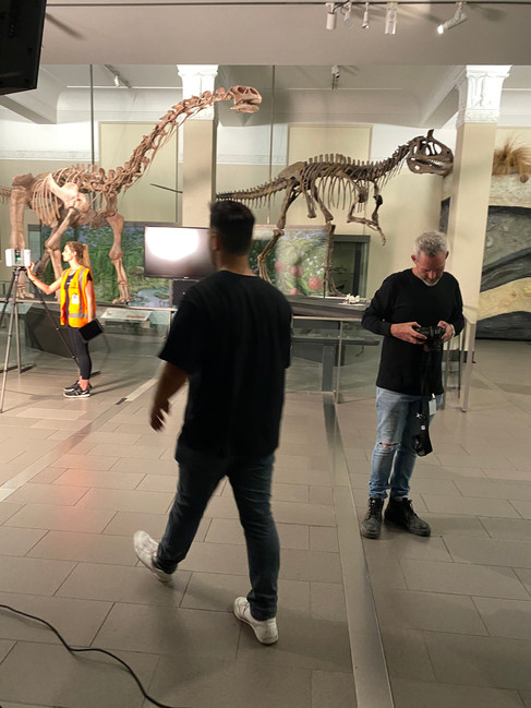 Auckland Unlimited - BTS