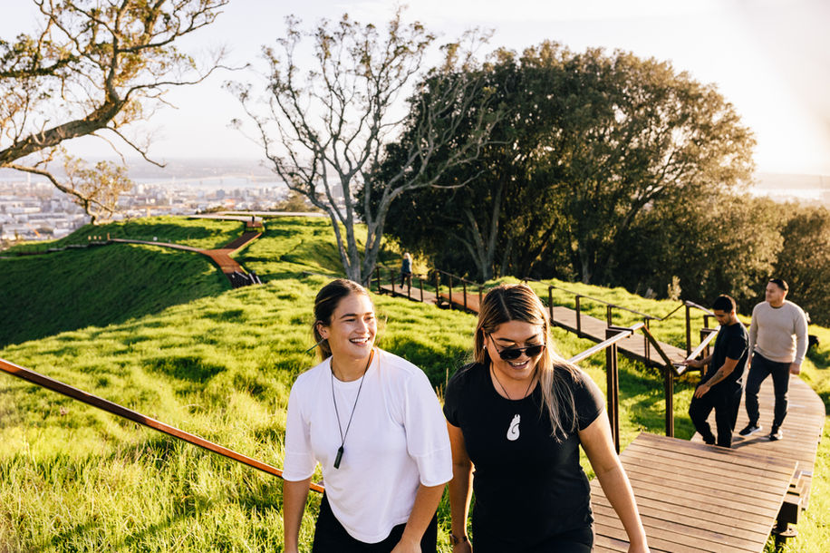 Maungawhau AKL3-1551.jpg