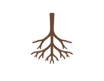 Tree Roots_Image V2.png