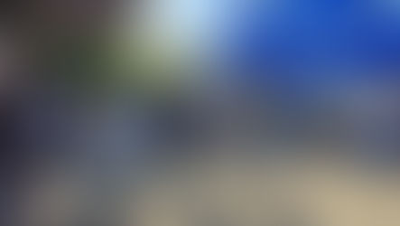 CSPCH inicia la celebración de Semana Santa con el Domingo de Ramos