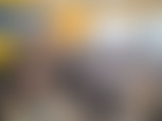 Primera Reunión de Apoderados 2025