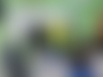 2MA potencia sus Habilidades Matemáticas