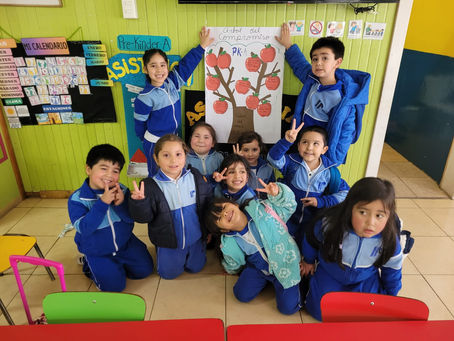 Actividades Pre Kinder A