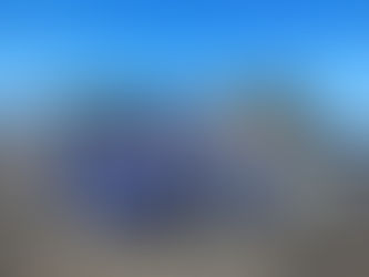 2° Básico realiza Salida Pedagógica al Parque Pedro del Río en la península de Hualpén