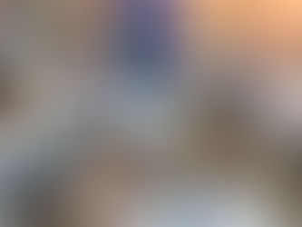 Plan Lector y Plan Matemático