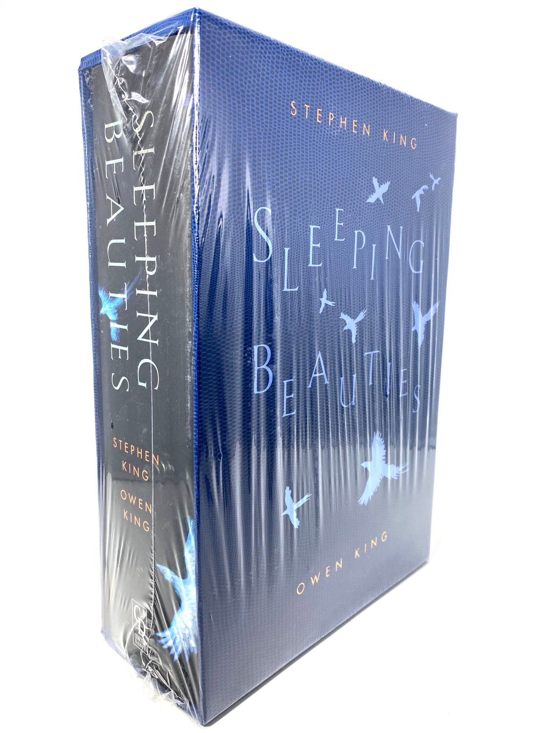 Sleeping Beauties by Stephen King