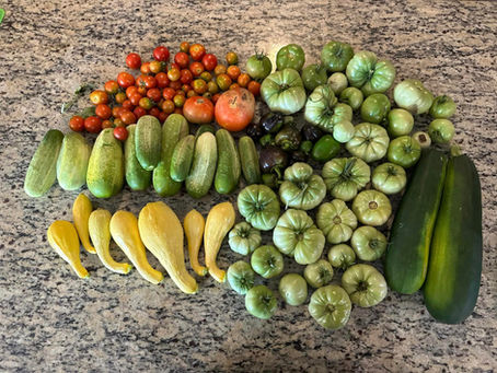 Don't Let Summer's Bounty Go to Waste: Your Guide to Preserving the Harvest