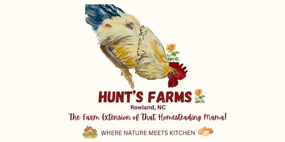 Website Homepage Fashion Collage Banner (2).png