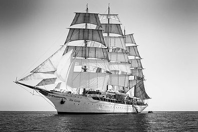 _DSF0334A copy 2.jpg