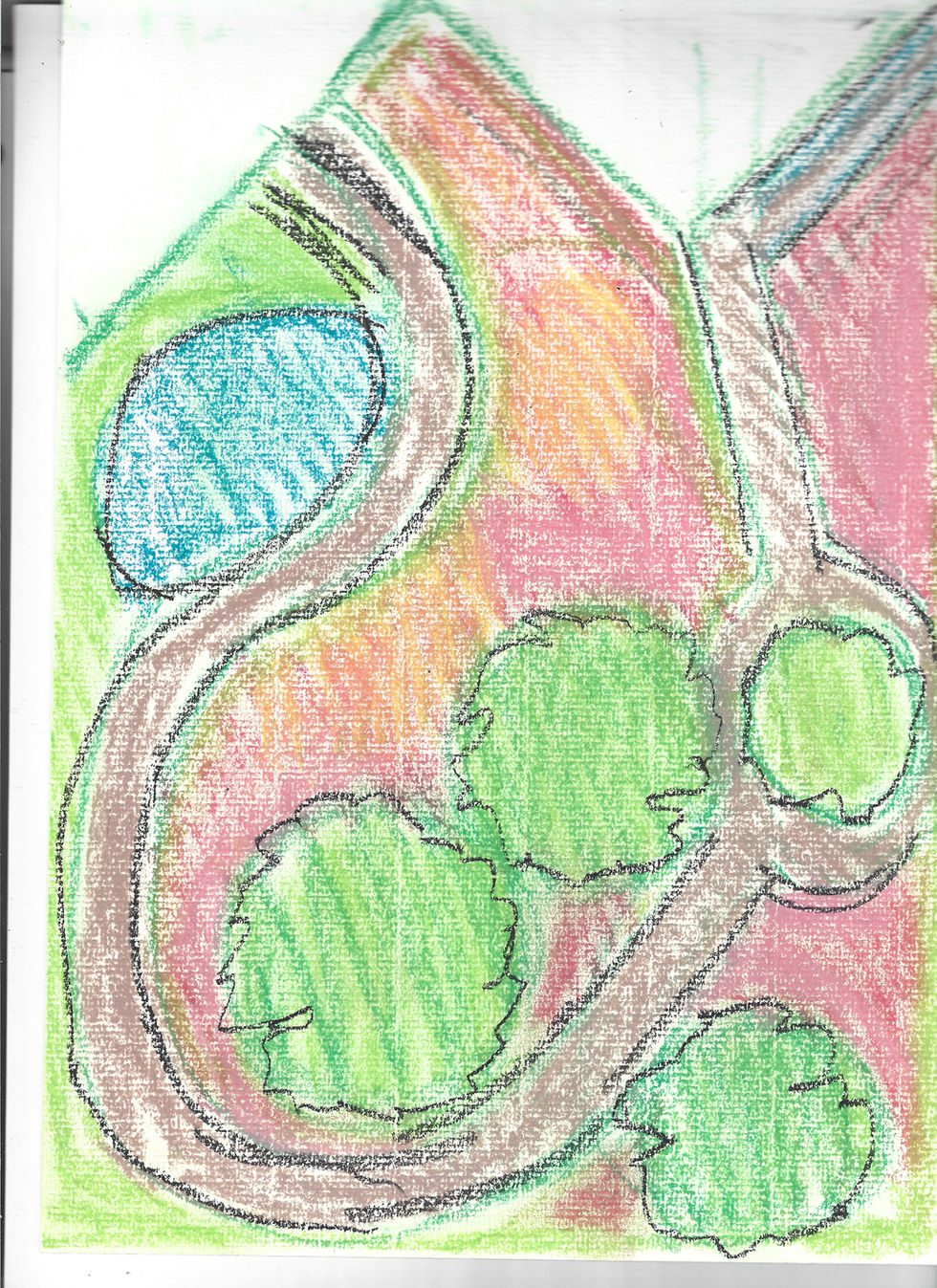 Modern garden