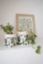 two white and green plant pot bags with floral print in the background