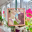 Thumbnail: Purple Hellebore - 8cm Frame