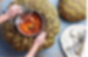 Are Wonderbags the Ultimate Solution for Eco-Friendly and Efficient Cooking?