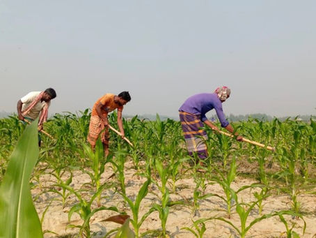 small holder farmers