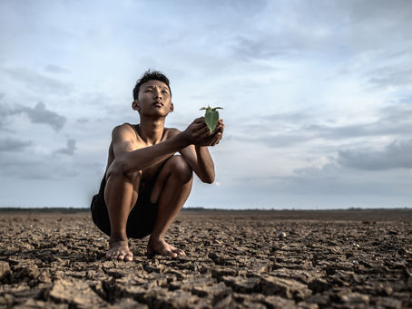 Sudanese Children Face Dire Hunger Crisis