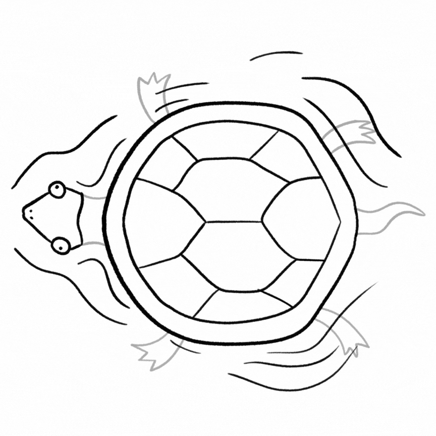 turtle_swim2.gif