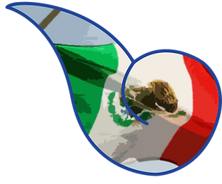 000_SIGNO-MX.png