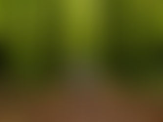 Life Transitions and Self-Trust: Why Change Isn’t a Problem to Fix