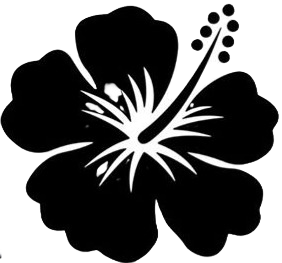 The Name Project: Women's Day Edition