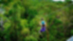 canyon flyer.jpeg