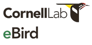 Cornell_labs_logo-removebg-preview (1).png