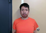 MEDINA-GUAMAN, Fernando P