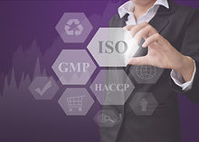 businesswoman showing presentation Food System Industries(ISO, GMP, HACCP) concept for use