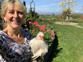 me with tulips and chicken.jpeg