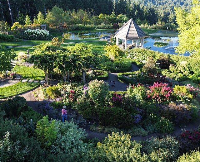 Lux Perennials Nursery | long blooming perennials | 13610 Northwest Skyline  Boulevard, Portland, OR, USA