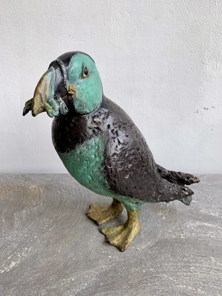 Thumbnail: Watervogels: Aalscholver, Meerkoet, papegaaiduiker en meer - Hans Jouta