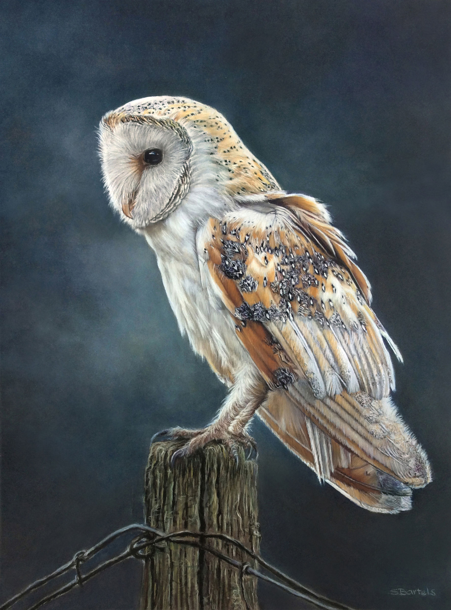 Nightwalker by Sandra Bartels – A pastel drawing of a nocturnal animal, capturing its sleek form and elusive presence with soft, nuanced colors and a sense of mystery.