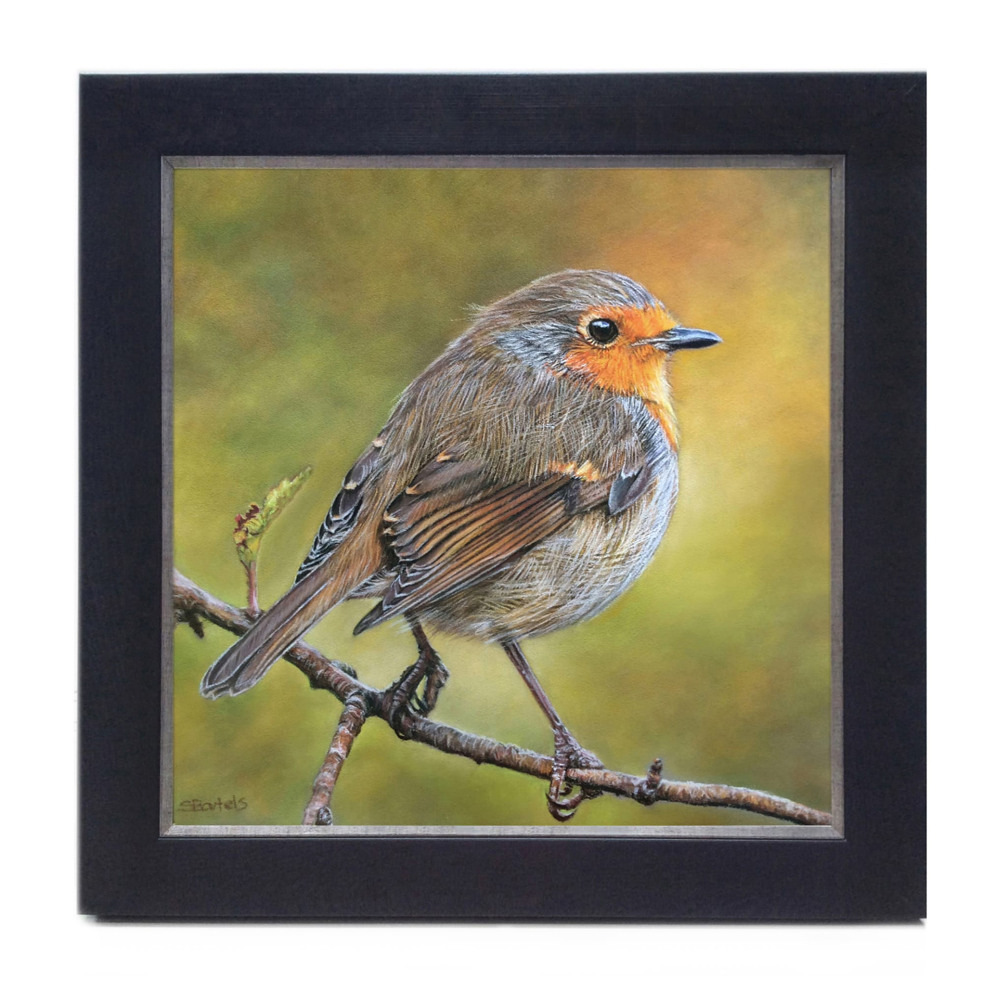 Serenity - Sandra Bartels