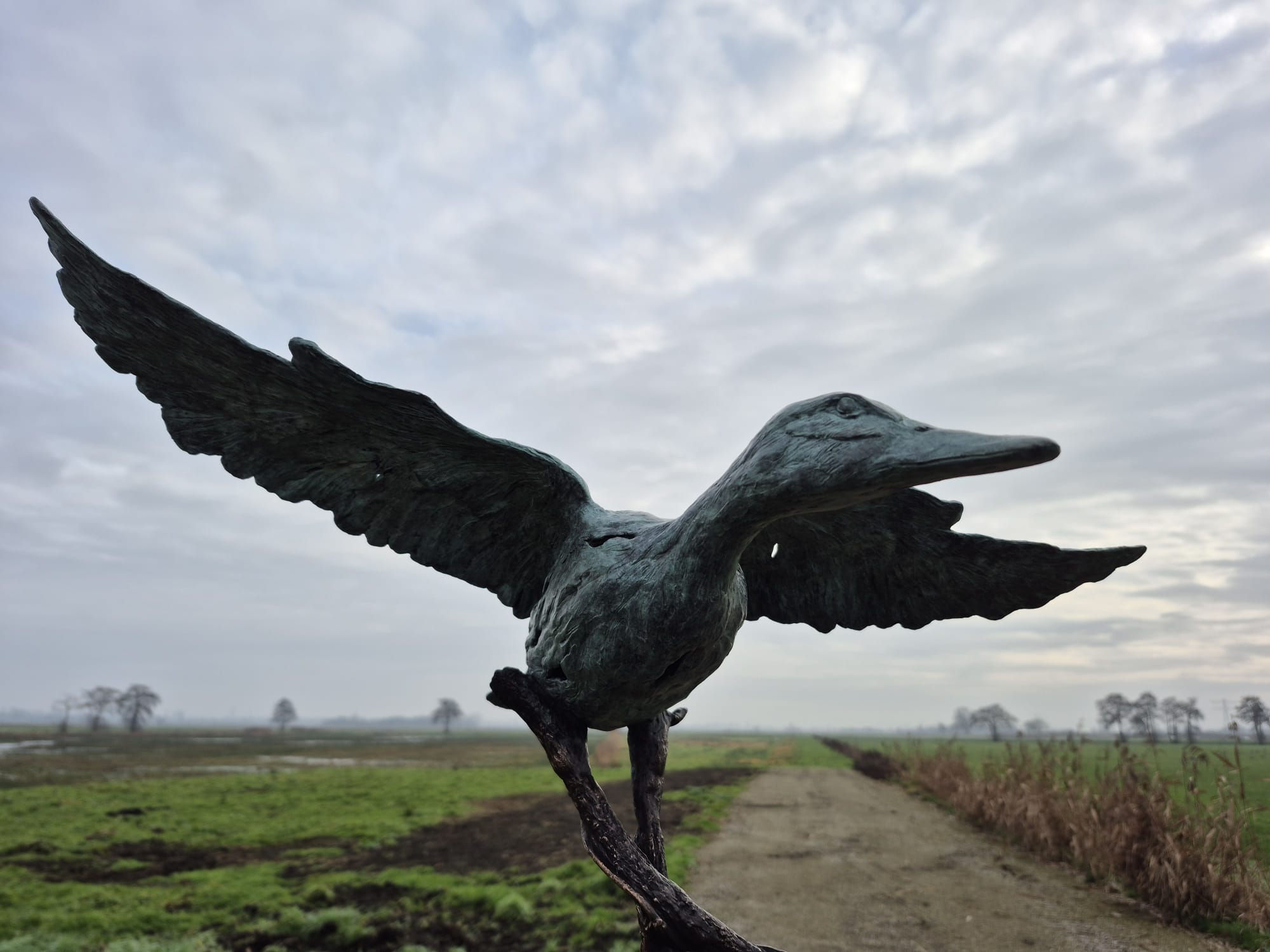 Destination - eend - Jeanette Jansen