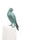 Thumbnail: Early Bird Green by Mark Dedrie – A bronze sculpture of a predatory bird, featuring a dynamic design and detailed craftsmanship that captures the essence of the creature's power and elegance