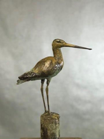 Thumbnail: Klein gevogelte: Mus, Ijsvogel, Zwaluw, Leeuwerik, Puttertje ed- Hans Jouta