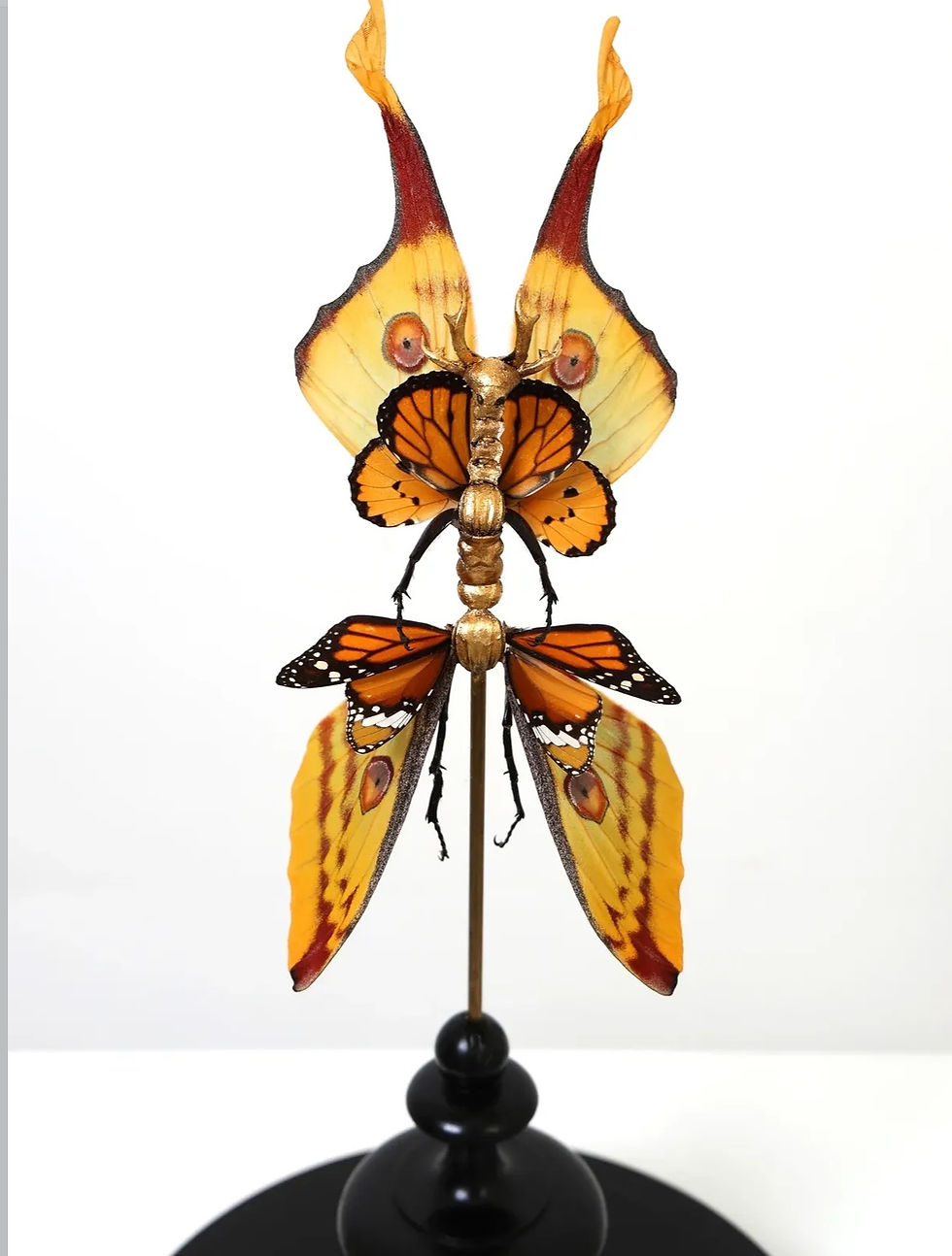 Thumbnail: Fairy - Cedric Laquieze