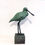 Thumbnail: Watervogels: Aalscholver, Meerkoet, papegaaiduiker en meer - Hans Jouta