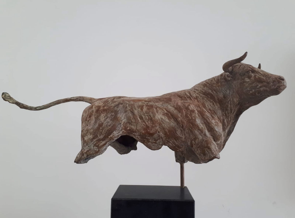 Fuerte (sterk), Stier - Jeanette Jansen