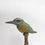 Thumbnail: Klein gevogelte: Mus, Ijsvogel, Zwaluw, Leeuwerik, Puttertje ed- Hans Jouta