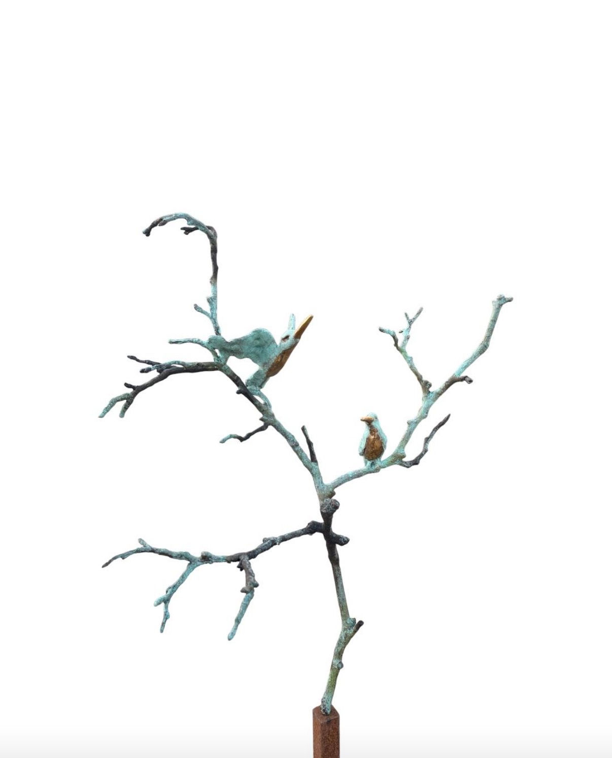 Stilness in nature - Yvon van Wordragen