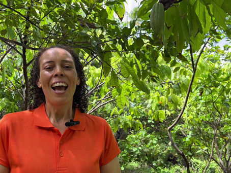 Empowering Women Farmers Through Purposeful Logistics