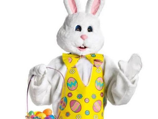 Ambria Photography To Host The Easter Bunny For Photos During Wauseon Downtown Chocolate Walk On Apr