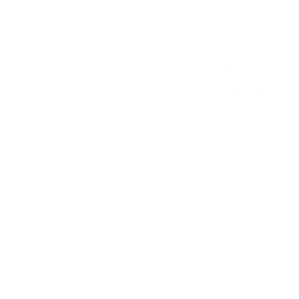 IC MEDIA_White Logo.png