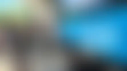 Presentando un formulario, titulares de AUH pueden cobrar $9.609 sin turno