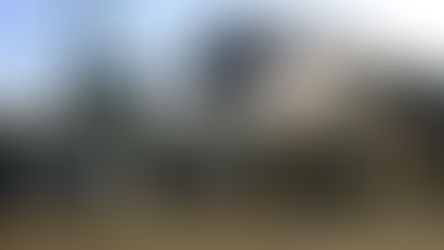 La zafra 2023 avanza con éxito a pesar de los desafíos climáticos