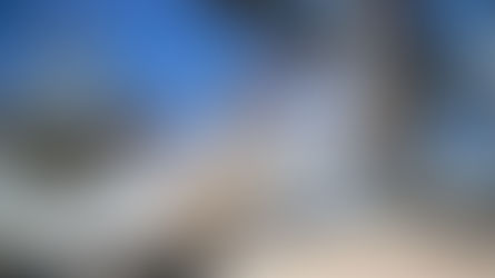 La soja sigue en alza y se acerca a máximos en una década