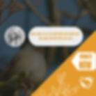 Green and Orange Modern Charity Instagram Post (1) (1).jpg