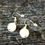 Thumbnail: Clear Quartz Dangled Earrings