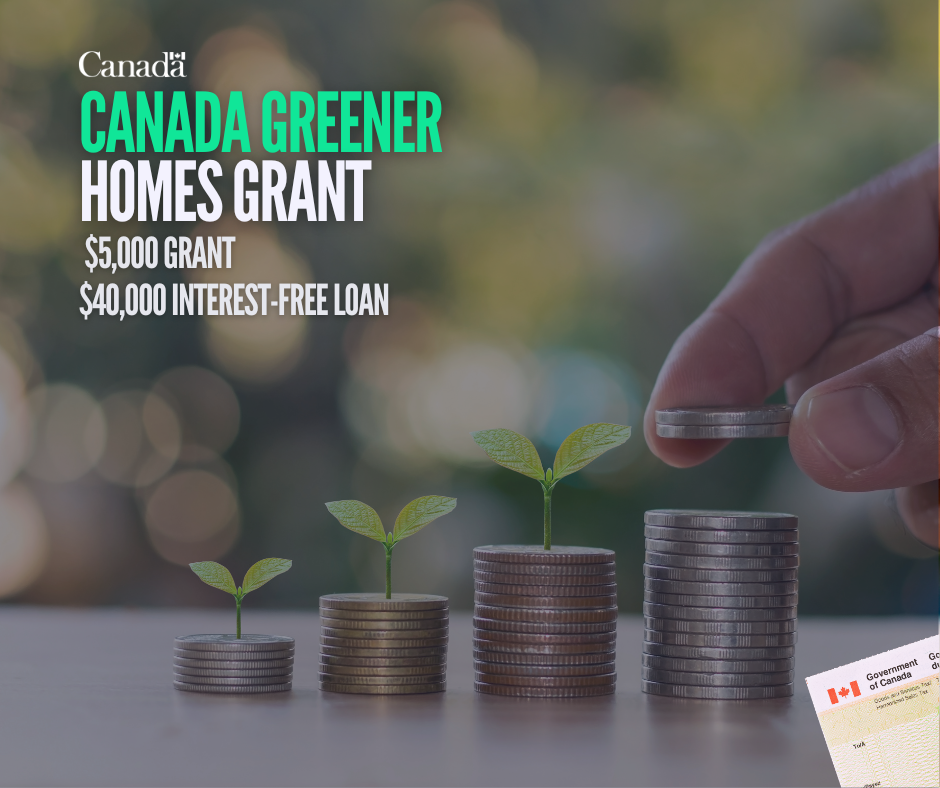 Harness the Sun with the Canada Greener Homes Grant: Your Guide to Free Solar Panel Funding
