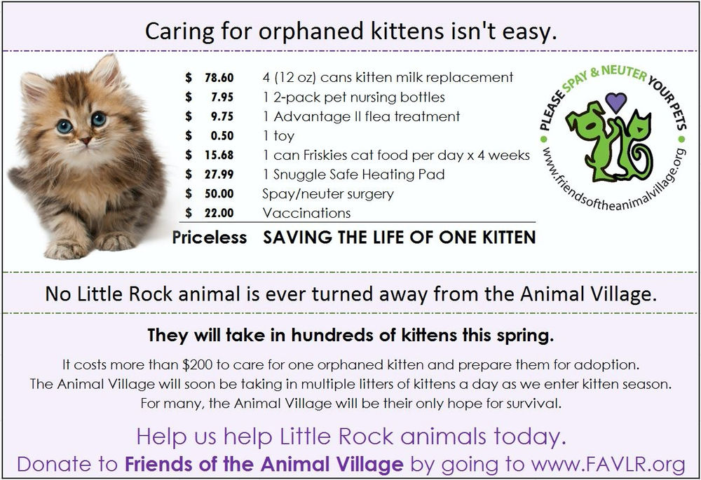 Kitten Season is HERE!